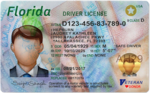 Read more about the article Why Does My Special Needs Child Need A Florida Driver’s License or ID Card?