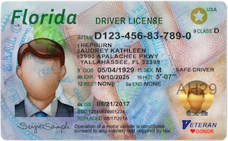 You are currently viewing Why Does My Special Needs Child Need A Florida Driver’s License or ID Card?