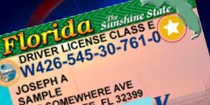 Florida REAL ID Driver's License