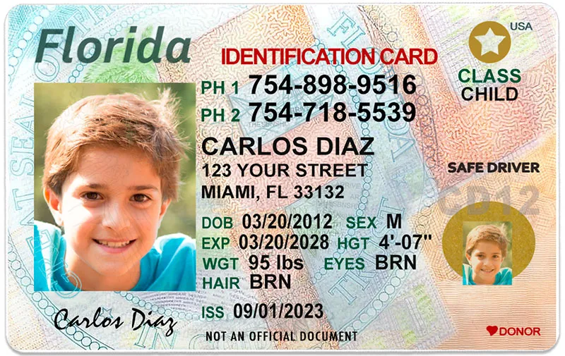 Florida REAL ID identification