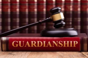 Read more about the article Guardianship Options