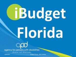 Read more about the article What is the iBudget Waiver?