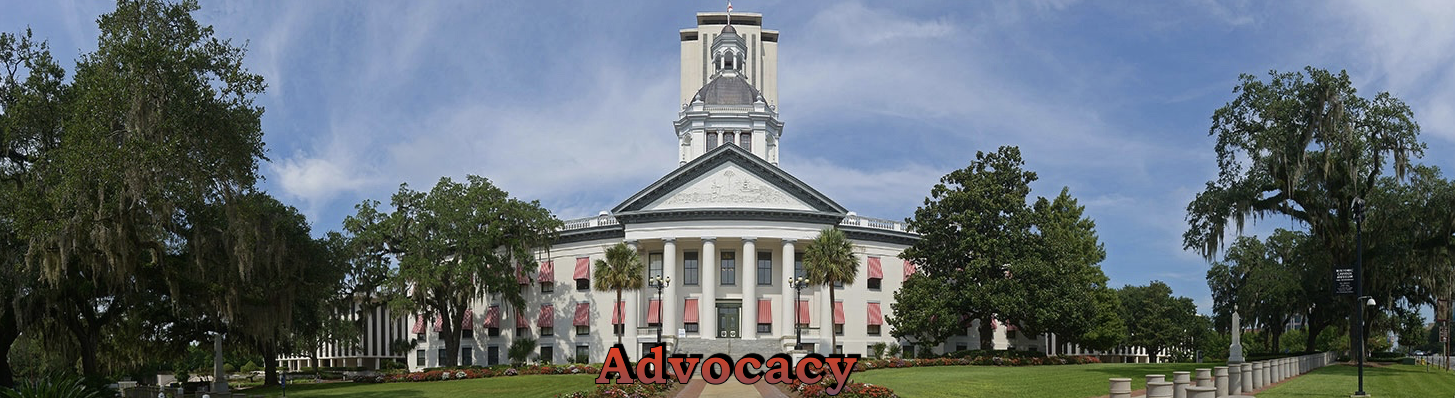 Historic Florida State Capitol Building with brightly colored striped awnings, classical style dome, and American and Florida State Flags in Tallahassee. “Advocacy” is at the steps of the Building.